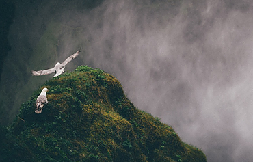 Photography, Nature